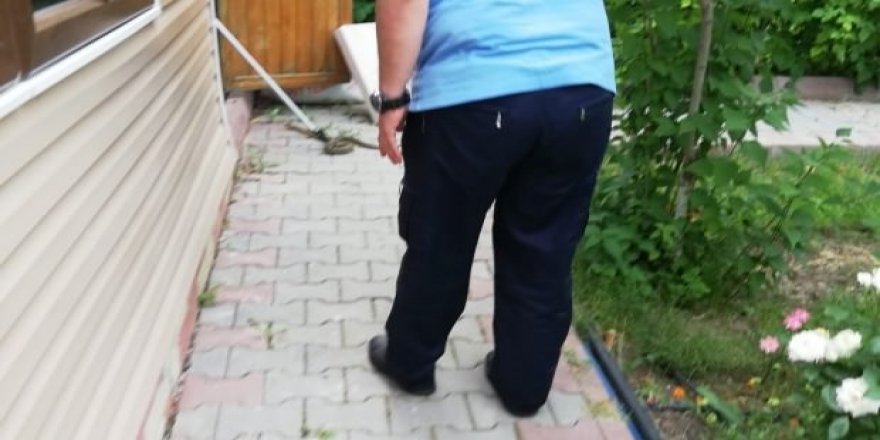 Ankara'da yılan paniği