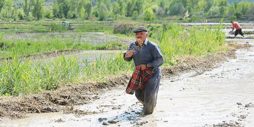 941 havzada 21 ürüne destek