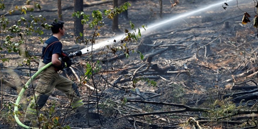 ABD’de 6 bin hektarlık orman kül oldu