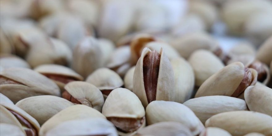 Siirt'ten ihracat hamlesi