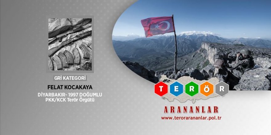 Diyarbakır Lice'de gri kategorideki terörist etkisiz hale getirildi