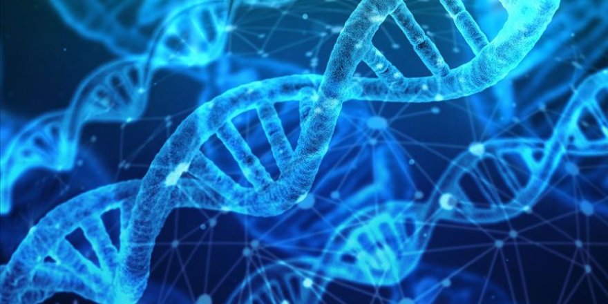 Genç bilim insanlarını, bilimsel araştırma ödülüyle teşvik ediyor