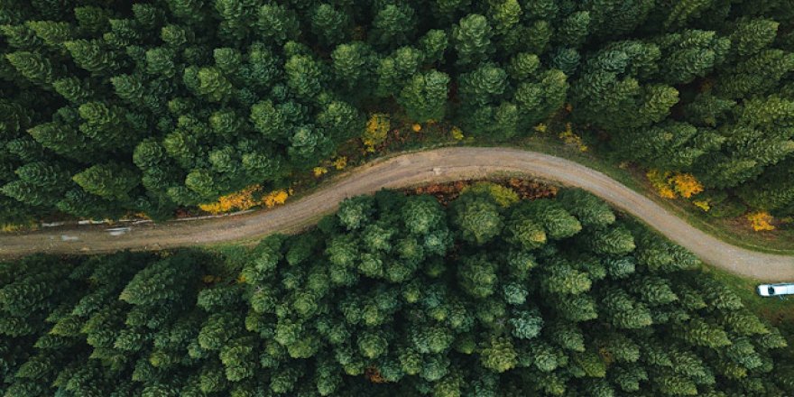 Küre Dağları Milli Parkı'na yeni sertifika