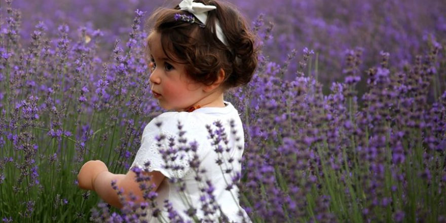 Lavantalı Osmanlı helvasını tatmak için sıraya girdiler