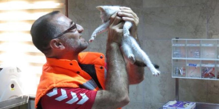 Yavru kediyi kurtaran kahraman işçi o anları anlattı