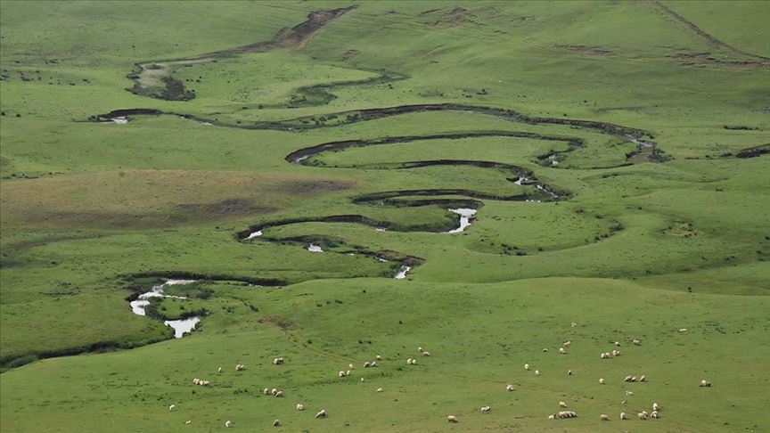 Ordu'nun menderesleri ziyaretçi bekliyor