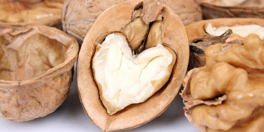 Üreticinin yüzünü güldüren ceviz hasadı başladı