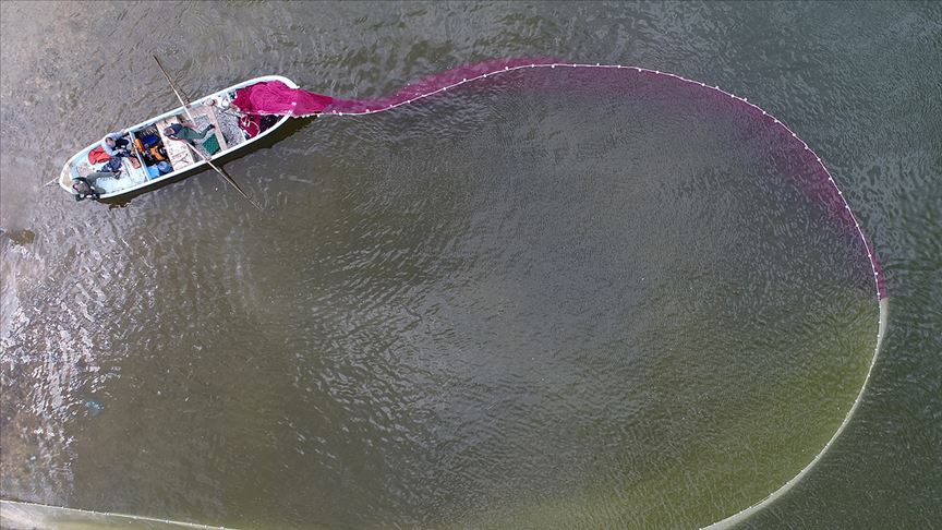 Yamula Barajı'nda balık mesaisi