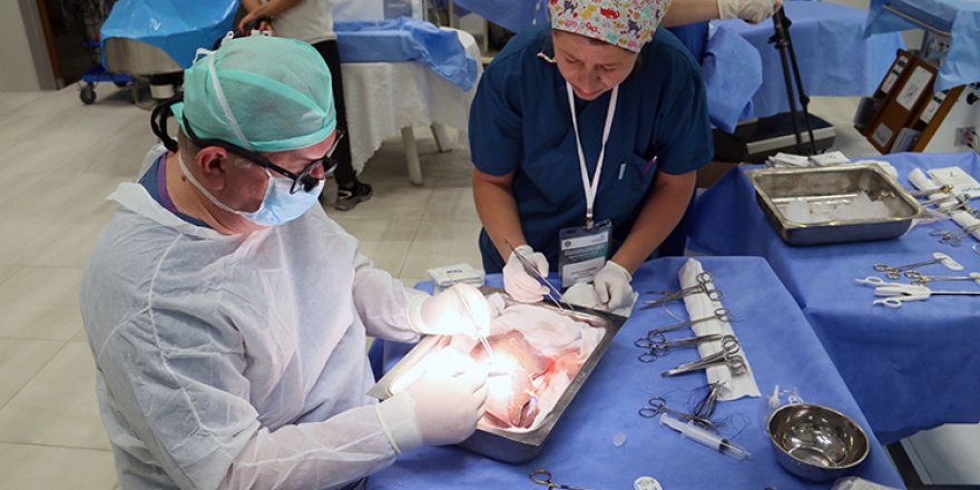 Organlar nakil için 24 saat korunabilecek