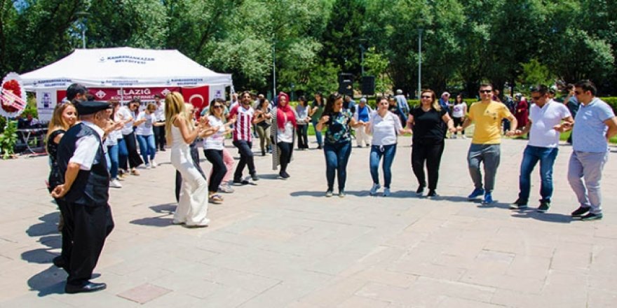 Elazığlılardan peynir ekmek festivali