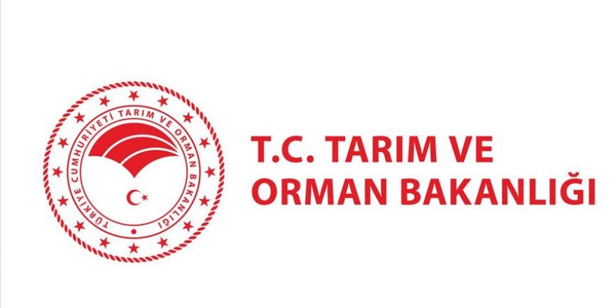 İstanbul'daki orman çalışmalarına ilişkin açıklama