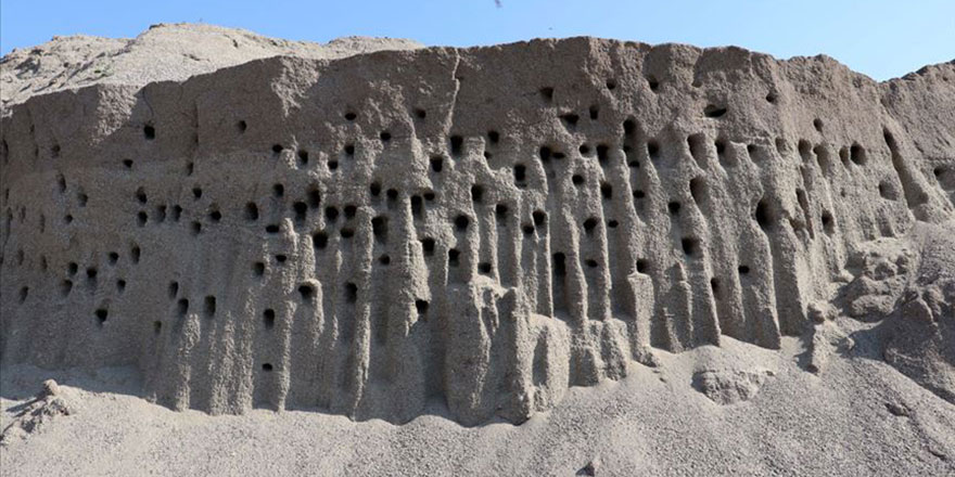 Kırlangıç yuvalarını yıkmamak için zarar etmeyi göze aldılar