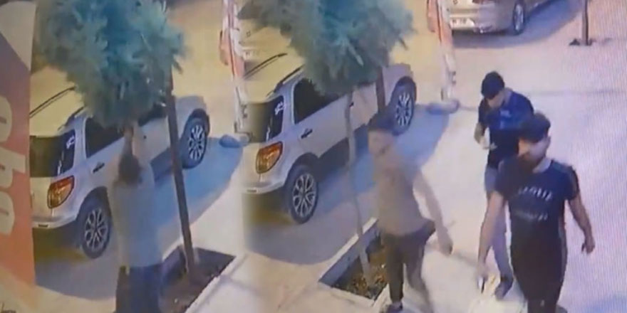 Mardin'de ağaca zarar veren şahsa 100 ağaç dikme cezası