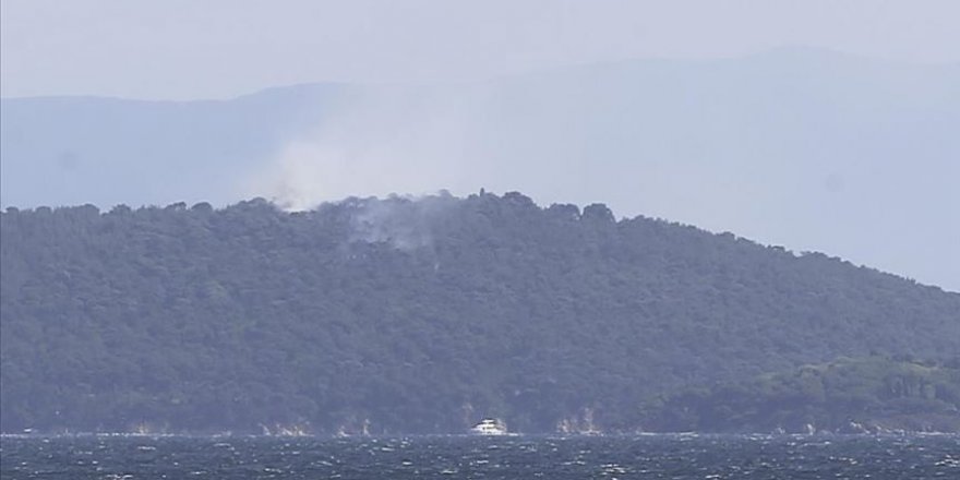 Heybeliada'da orman yangını kontrol altında
