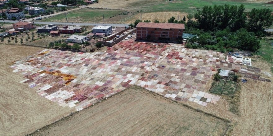 "Halı tarlaları"na yurt dışından ilgi büyük