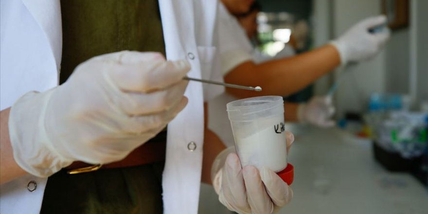 Yeğeninin hastalığından etkilenip 'ilaç taşıma sistemi' geliştirdi