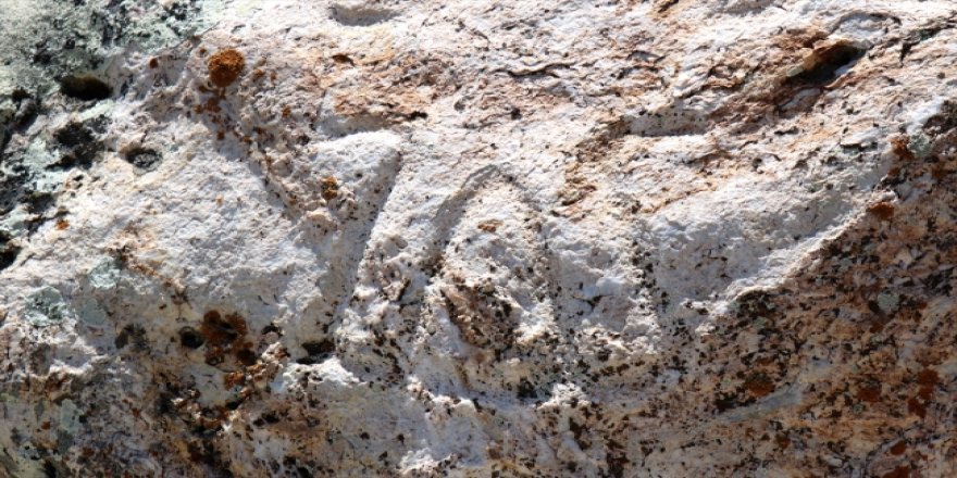 Definecilerin zarar verdiği Malkaya'da kurtarma kazılarına başlandı