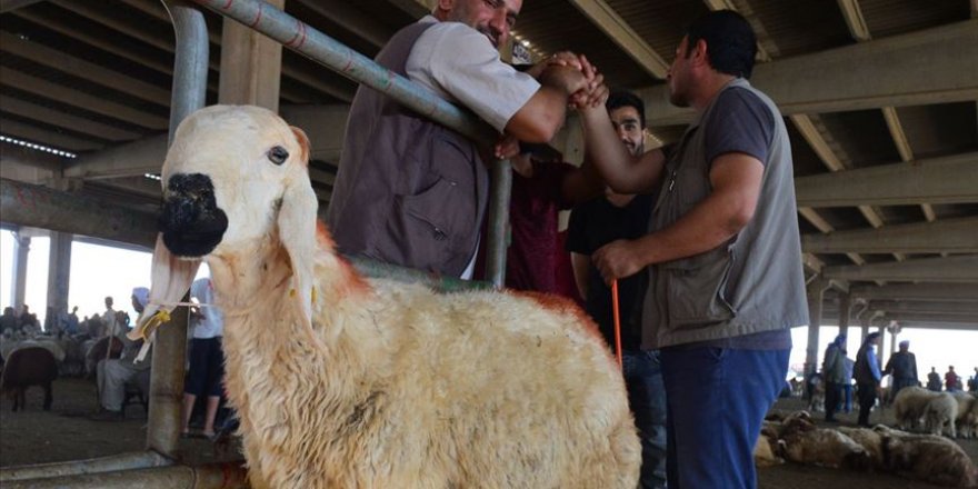 Diyanet İşleri Başkanlığından 'Kurban Tebliği'