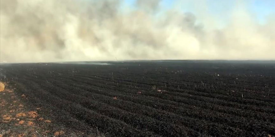 Anız yangını 10 köyü elektriksiz bıraktı