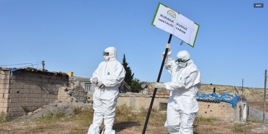 Aydın Nazilli'de kuduz karantinası