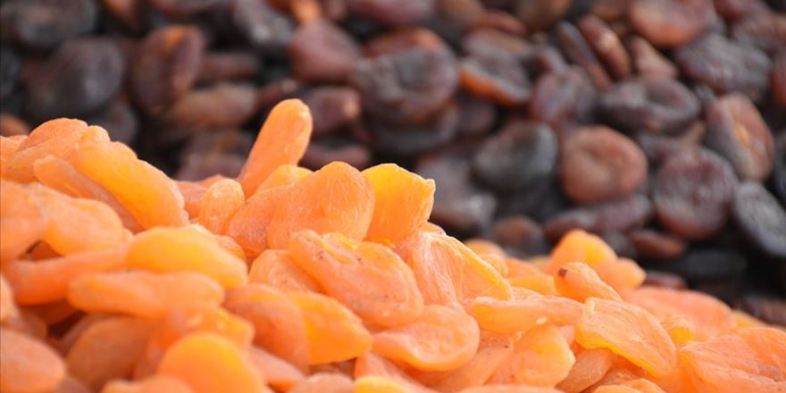 Kuru kayısıda lider ülke Türkiye