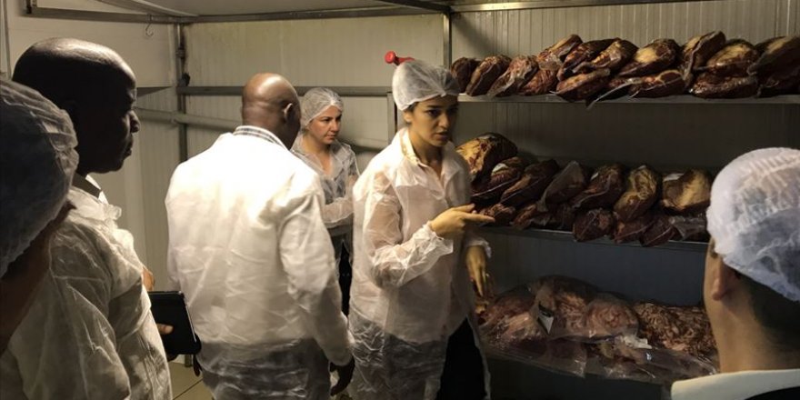 TİKA'dan Gine Hayvancılık Bakanlığı uzmanlarına eğitim