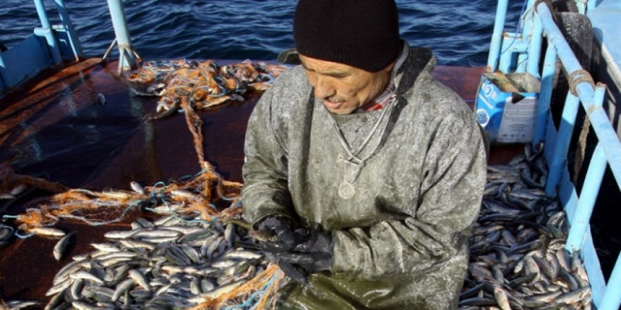 Van Gölü'nde mesai 15 Temmuz'da