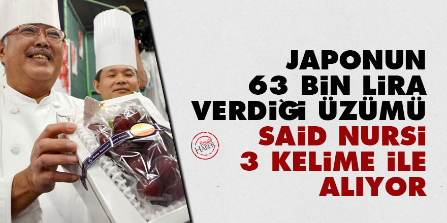 Japonun 63 bin lira verdiği üzümü Said Nursi 3 kelime ile alıyor