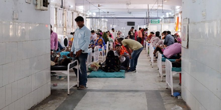 Hindistan'da Japon beyin iltihabı salgını: 64 ölü