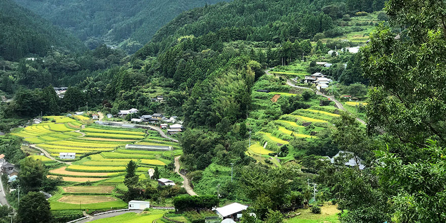 Dünyaya örnek 'Sıfır Atık' kasabası