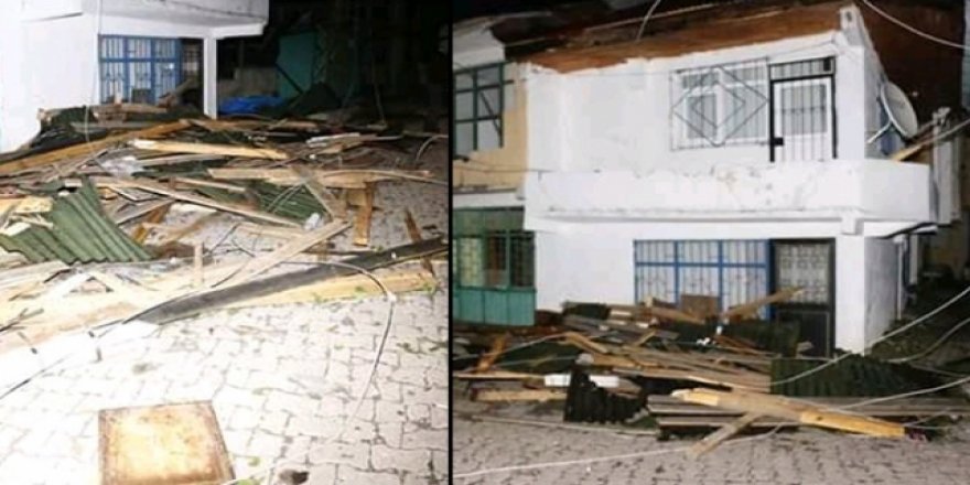 Rüzgar Ordu'da şiddetli estirildi