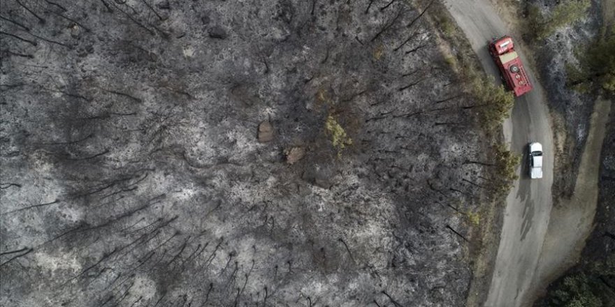 Muğla'da yanan ormanlık alanlar drone ile görüntülendi