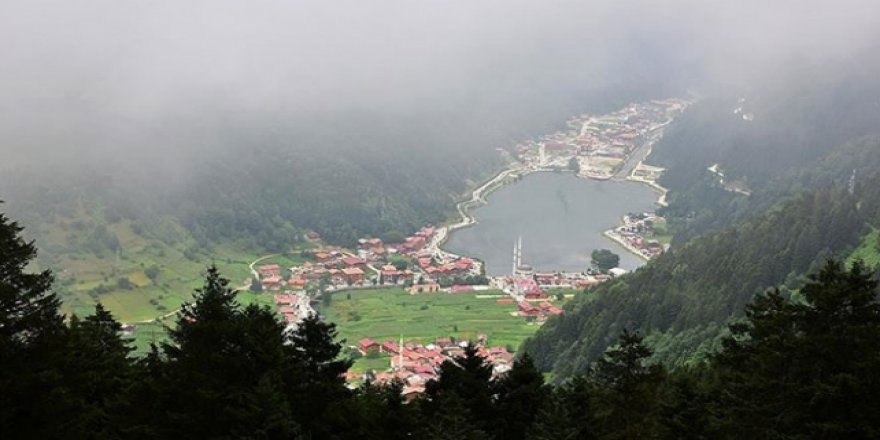 Uzungöl'de kaçak yapılar yıkılacak