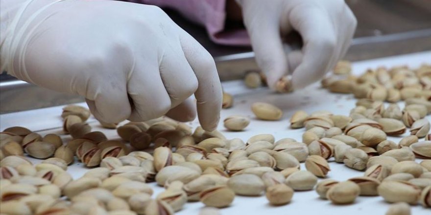 Antep fıstığı da 'Çin Seddi'ni aştı