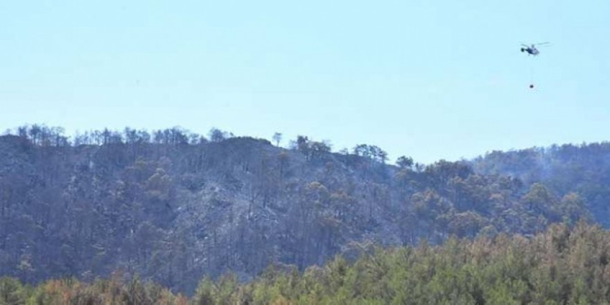 Fethiye'ye sıçrayan orman yangını söndürüldü