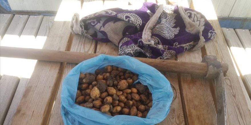 Salep soğanıyla yakalanan kişiye 60 bin 163 lira ceza