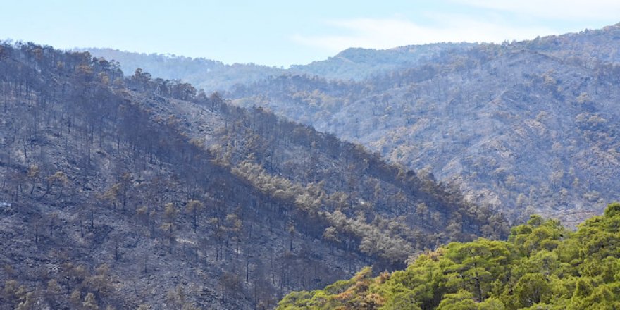 Muğla'da orman yangını nihayet söndürüldü