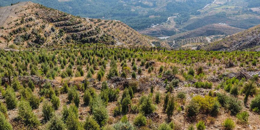 16 yılda 30 bin futbol sahası kadar toprak kurtarıldı