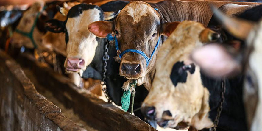 BMW'nin yeni nesil elektrikli aracı 'inek'le çalışacak