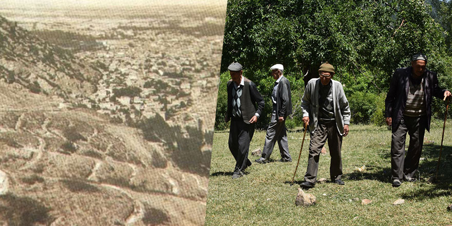 5 kardeş 26 yılda kıraç toprakları ormanlaştırdı