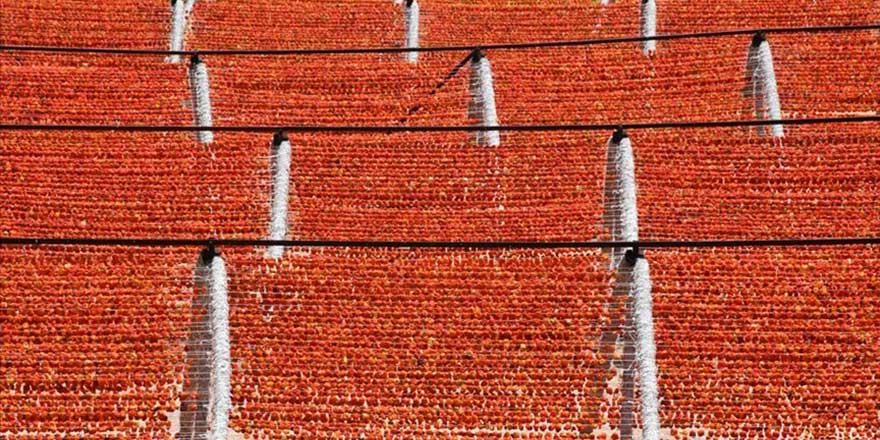 Rengarenk 'Antep kurutmalıklar' tezgahlara asıldı