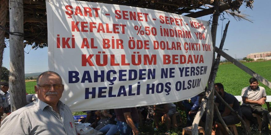 Bahçesinde yetişen ürünleri ücretsiz veriyor: Kefenin cebi yok