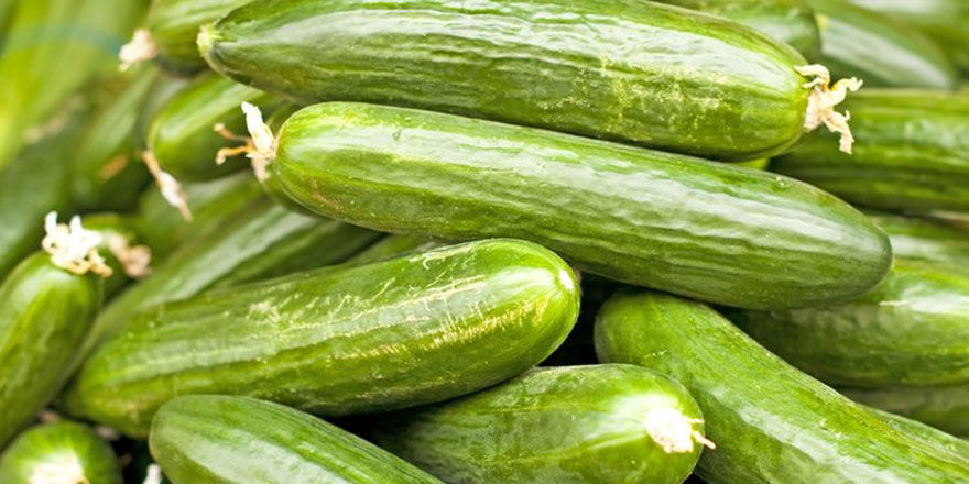 Ocakta en çok salatalığın fiyatı arttı