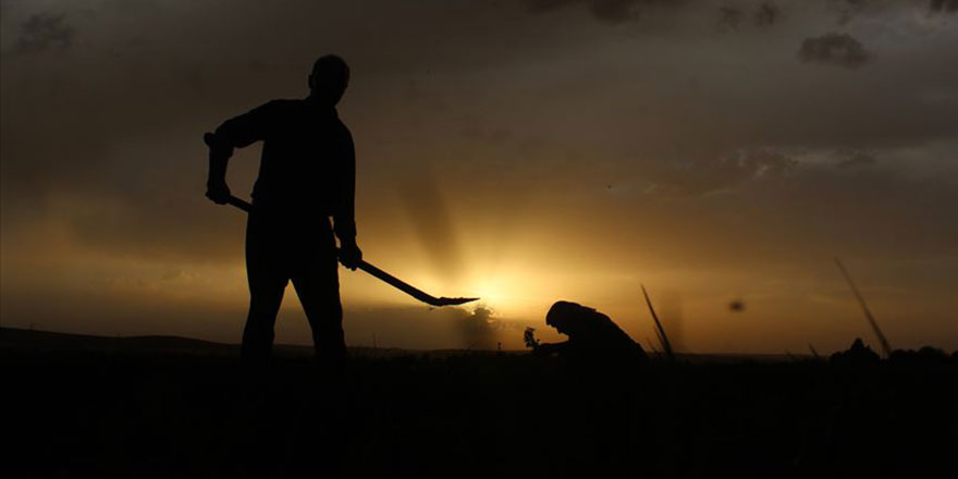 Özerklik kazanan Müslüman Bangsamorolu çiftçiler Türkiye'de eğitilecek