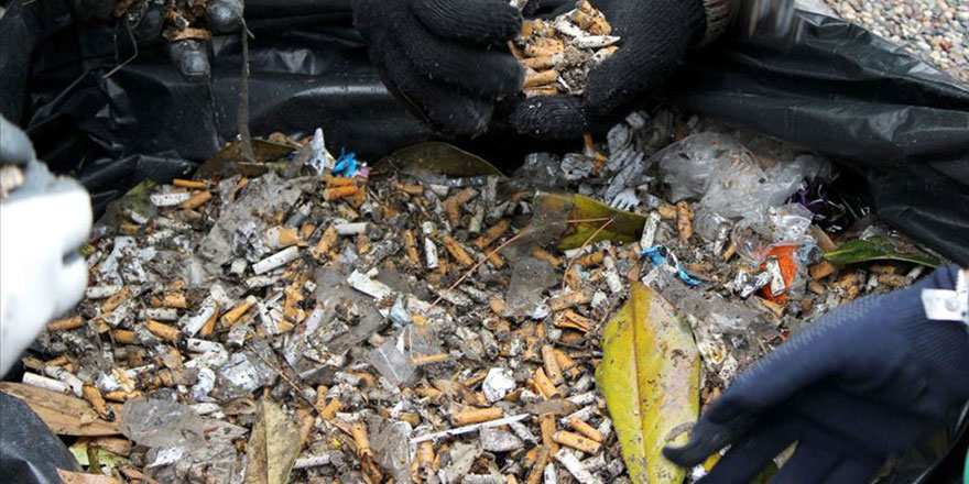 Sigara izmaritleri en yaygın zararlı atık