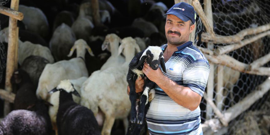 Köyüne dönerek kazancını da huzurunu da artırdı