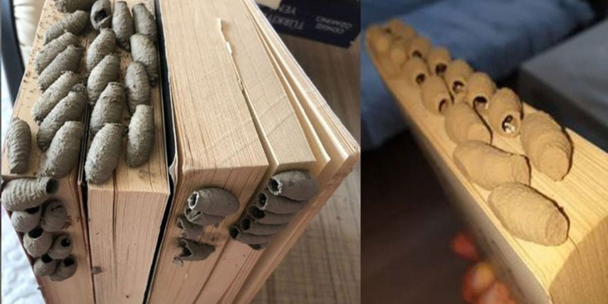 Okunmayan kitaplar bu hale gelebilir!