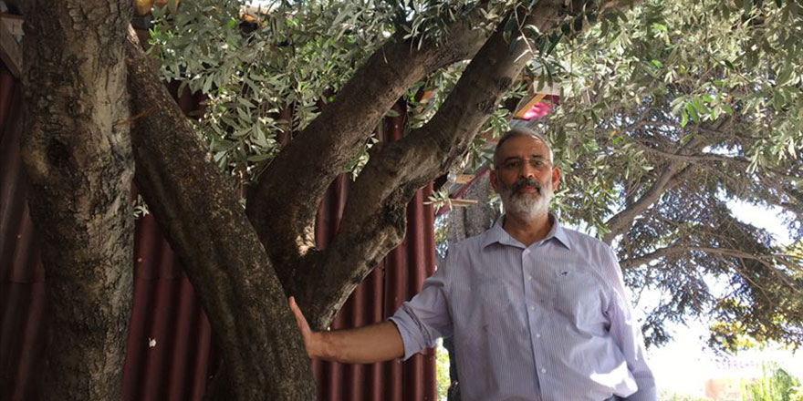 Öğrenciyken diktiği fidana 37 yıllık vefa