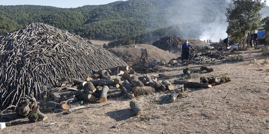 Çay çöpünden mangal kömürü üretecek fabrikada son aşamaya gelindi