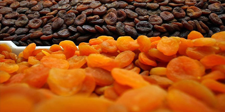 Malatya'dan 112 ülkeye kuru kayısı ihracatı